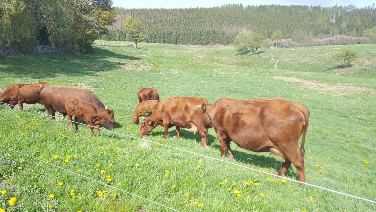 Ferienhaus Harzer Bauernhof Thale Zewnętrze zdjęcie