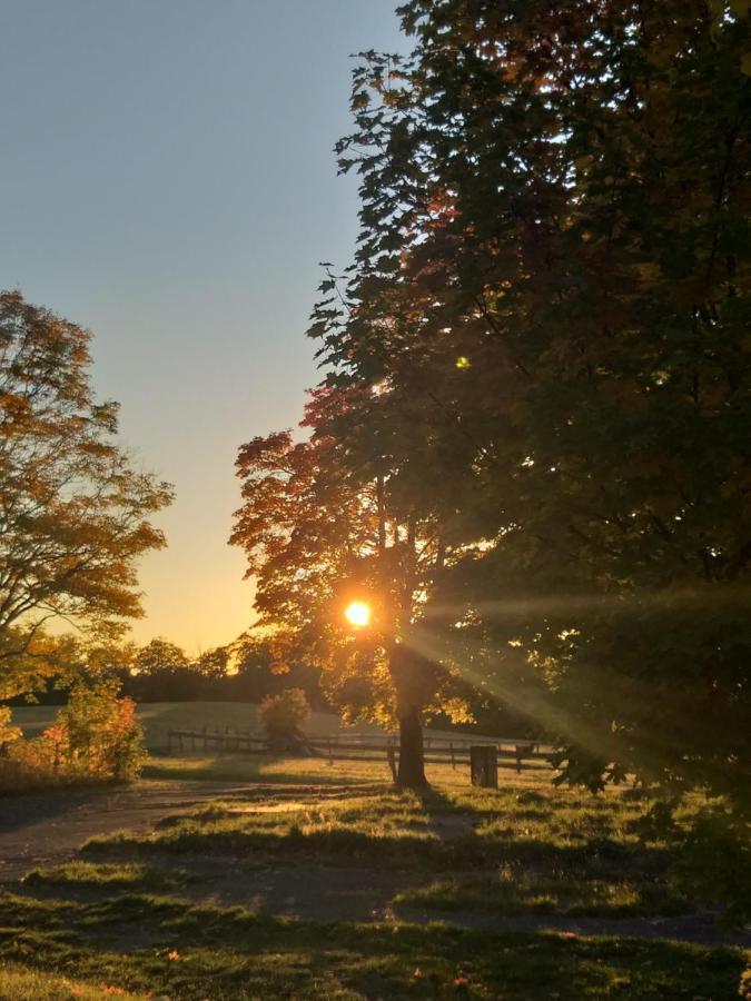 Ferienhaus Harzer Bauernhof Thale Zewnętrze zdjęcie
