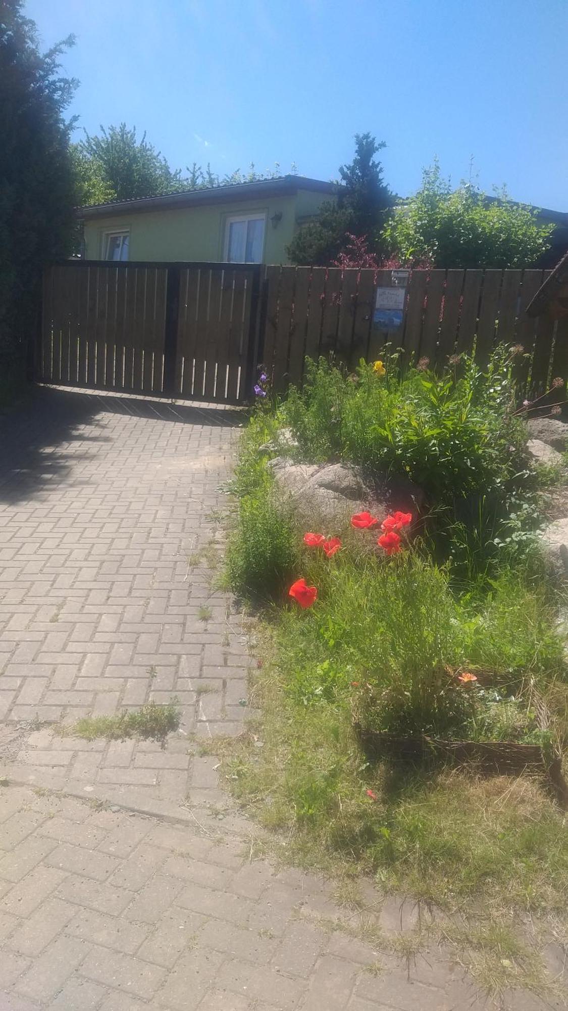 Ferienhaus Harzer Bauernhof Thale Zewnętrze zdjęcie